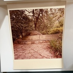 Richard Ross, Untitled (Garden Bench Series) 1985 Ektacolor Print