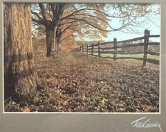 TED COOPER Landscape Nature Photograph, Hand Signed Framed Matted Acclaimed