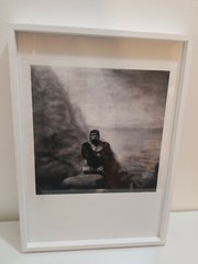 Andrea Alessio Animal Photo Wall Art Gorilla Zoo Framed Print Picture