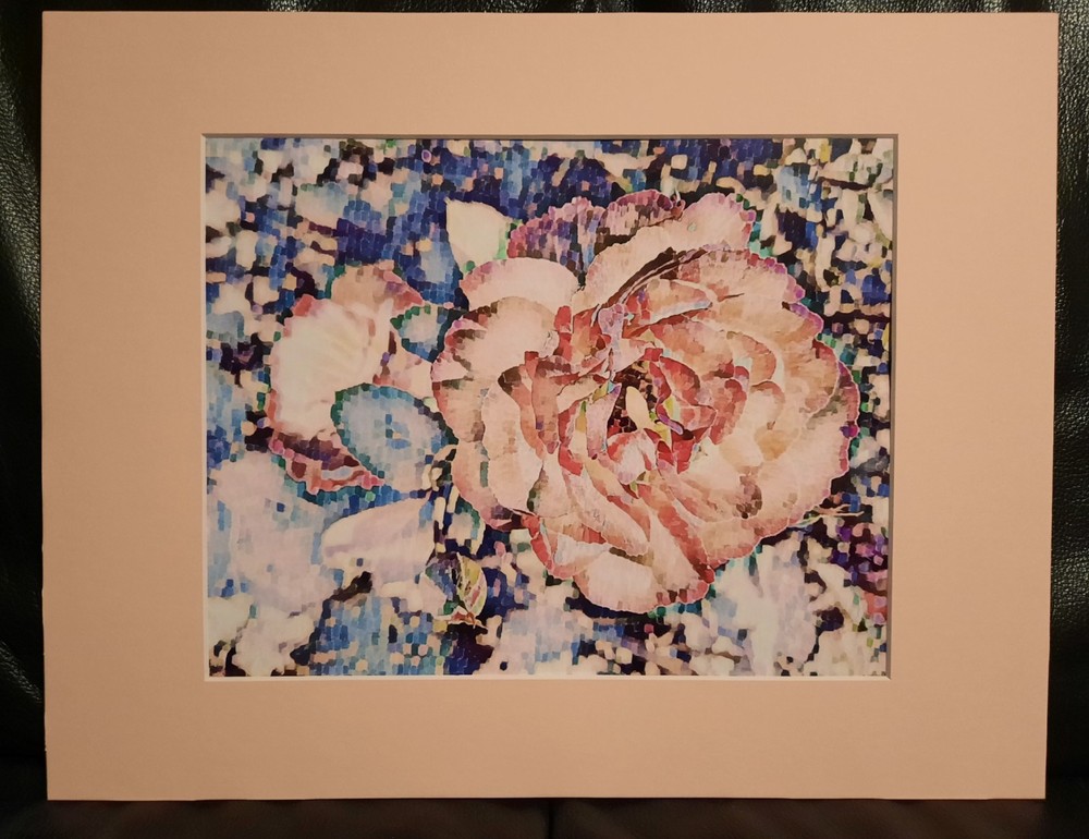 Matted Photograph: Rose Whispers