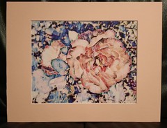 Matted Photograph: Rose Whispers
