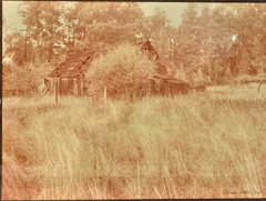 Vintage Barn Photography Rustic Art Photo Framed Farmhouse OOAK 24×18 Yellow