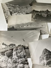 Vintage B&W Photos Pyramid Lake Nevada Landscapes Original 1950’s Lot of 16
