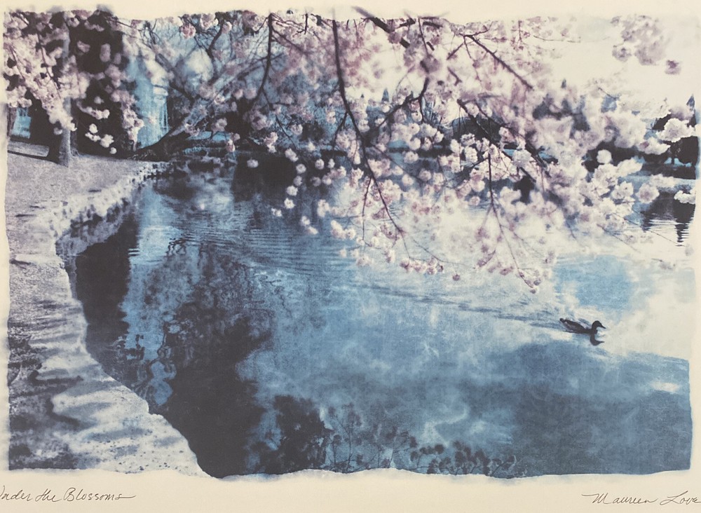 Maureen Love Signed Original Art Print «Under the Blossoms» Matted 20” by 16”
