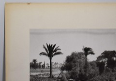 J.W. Howlett Black + white Photograph focusing on a Group of Travelers W/ Camel