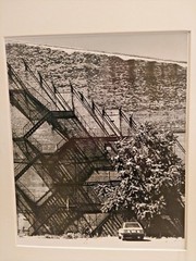 Original Art Photograph FIRE ESCAPES & LONE TREE by photographer BEN E WATKINS