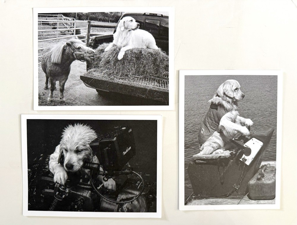 Set of Bruce Weber Original SIGNED Cards 2016, 2018 & 2019 Provenance Rare