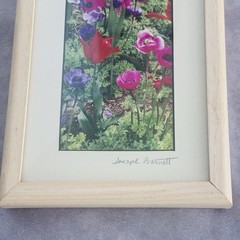 Signed Joseph Barnett Floral Photo Prints Set Maine Artist Framed Garden 6×12