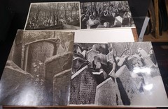 Judaica: 15 Photos 1942-1956, Headstones Old Jewish Cemetery in Prague, Mostly
