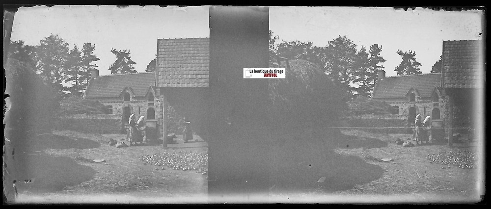 Campaign, Stereoscopic Glass Photo Plate, Black & White Negative 4.5X10.7 Cm