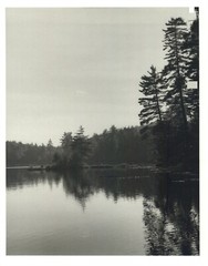 1990 Bruce Weber Pond And Pine Trees Clear Sky Art Photo Gravure