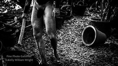 Original Male Nude KELLY WILLIAM WRIGHT Muscle Men JUNGLE WORK #22 – 12X22 Photo