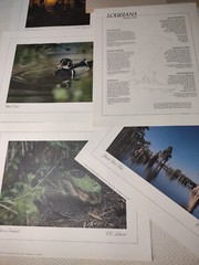 Louisiana: The Bayou State: Limited Edition Portfolio By C.C. Lockwood