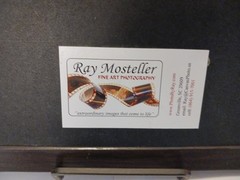 Framed Signed Photo 8773 «Hello World» by Ray Mosteller 11.5″x9.5″ Bird Nest Egg