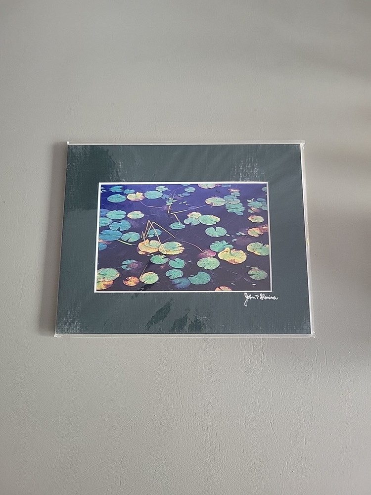 Photography Print By John T Slonina Matted 8×10 Lily Pads On A Pond
