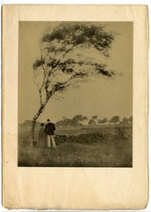 Gertrude Käsebier, «Pastoral» April 1905, Original Camera Work X Photogravure