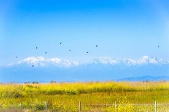 Landscape photography print nature wall deco