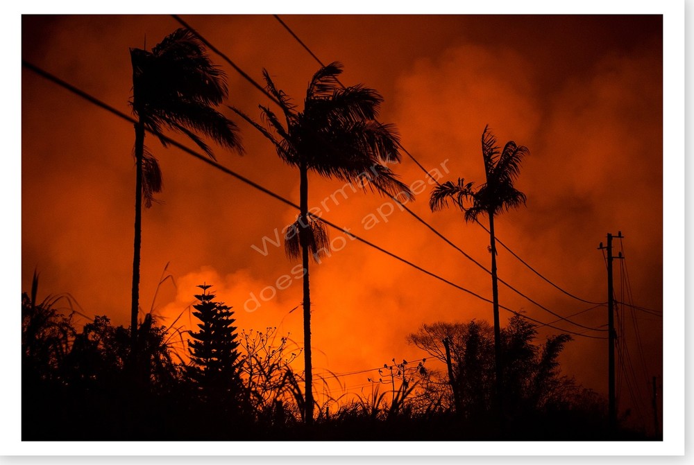 Volcanic Gas Destroys Vegetation 2018 Hawaii Kīlauea Volcano Silver Halide Photo