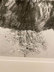 Black & White Photograph Merced River Bob Werling Ansel Adams Student California