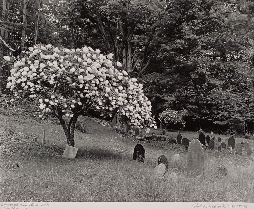 Large Format B&W Photo Chandler Hill Cemetery Colrain MA by Charles Fendrock
