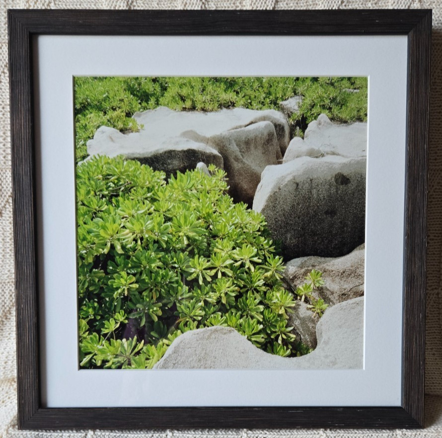 Photo print, Sans Titre 21, Christian Chaize, image 11×11 custom frame 14×14 COA