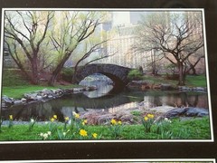 Central Park NYC Bow Bridge “Four Seasons” Framed Photos Signed- 10x 21″