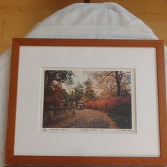 Michael Chen Signed Limited Edition Photo Set of 3 Matted & Framed Central Park