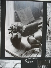 MATTED PHOTOGRAPHY Collage of Florida Photos by Larry Santucci 15×11.5 B&W