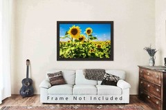 Sunflower Field Kansas Farm Country Rural Landscape Photography Print