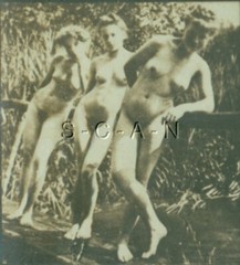 Original Antique B/W Nude Real Photo- Double Stereoscope- Three Women Outdoors