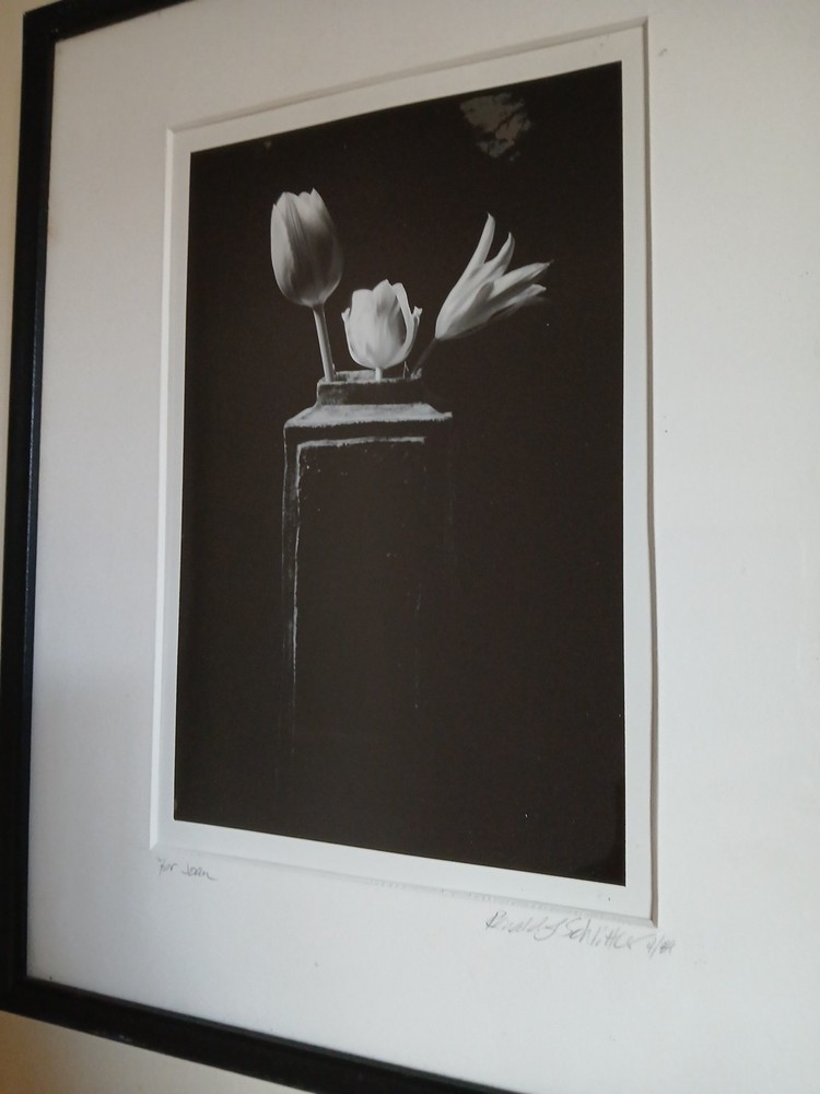 Framed Signed Dated PHOTOGRAPH Black & White Flowers/Vase 1989-14.75″H X 12″L