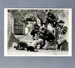 Socks Clinton The Cat Art Print Card Photo By Mike Nelson 1992 Fotofolio 4”x6”
