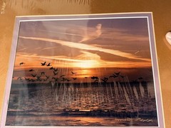 New Emmitt Phalen Sunset Geese Flock Over Water Framed Photograph Print
