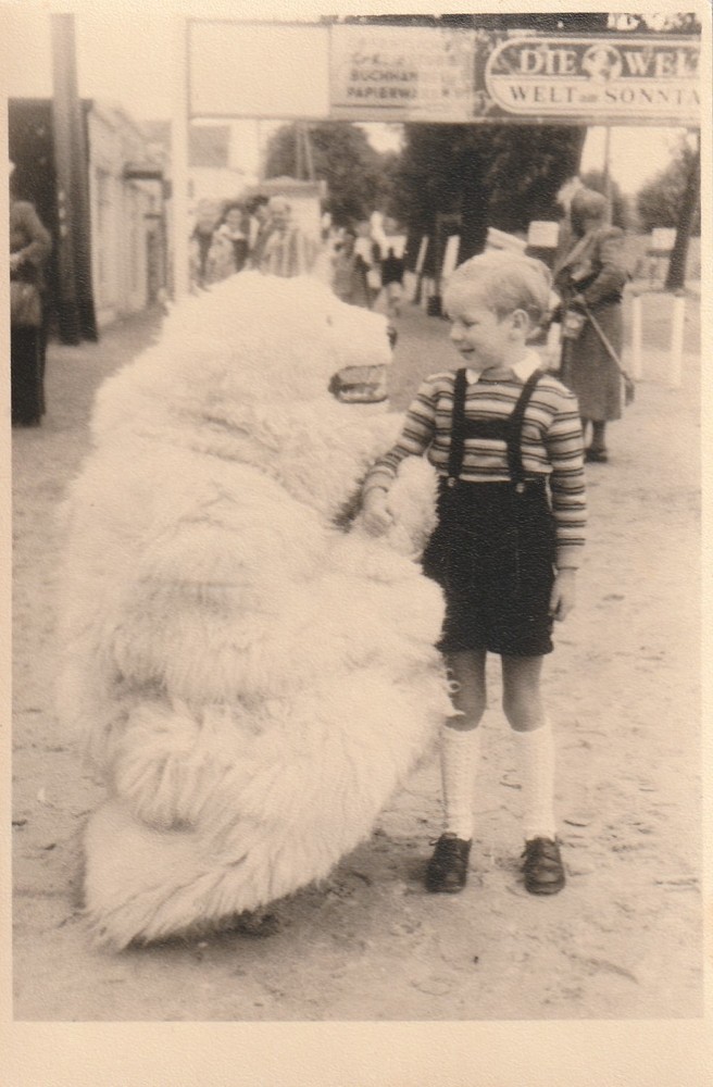 Photo Pretty Boy with Polar Bear Costume Humanized Snapshot-9