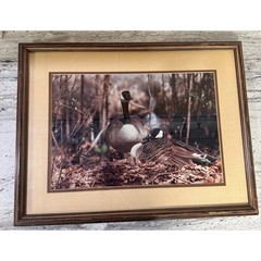 Vintage Framed Canada Geese Print – Rustic Wildlife Wall Art