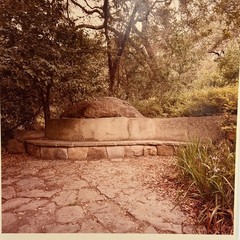 Richard Ross, Untitled (Garden Bench Series) 1985 Ektacolor Print