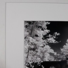 White Mat Photo Landscape Park Infrared Photography Bridge Trees Art Print